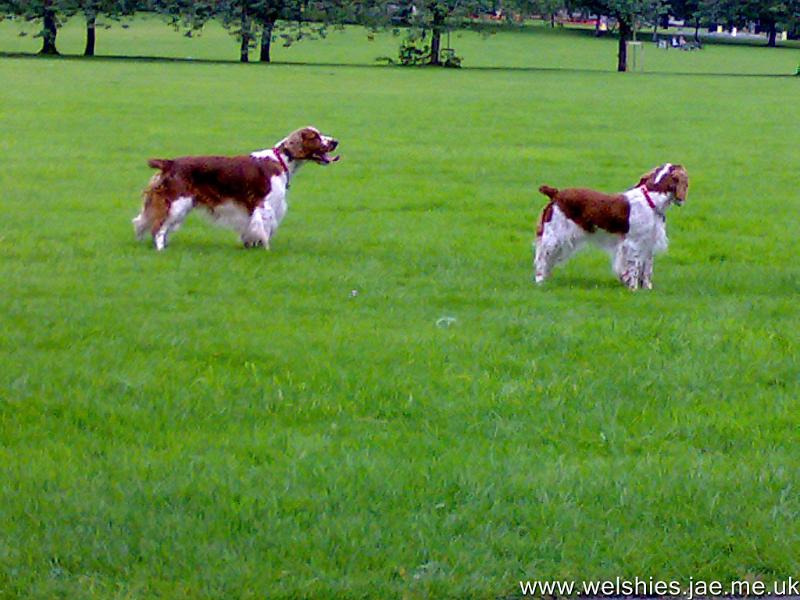 2009-07-19 23a10.jpg